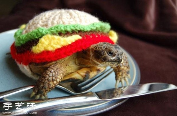 Creative knitting: What if you put clothes on the turtle! 