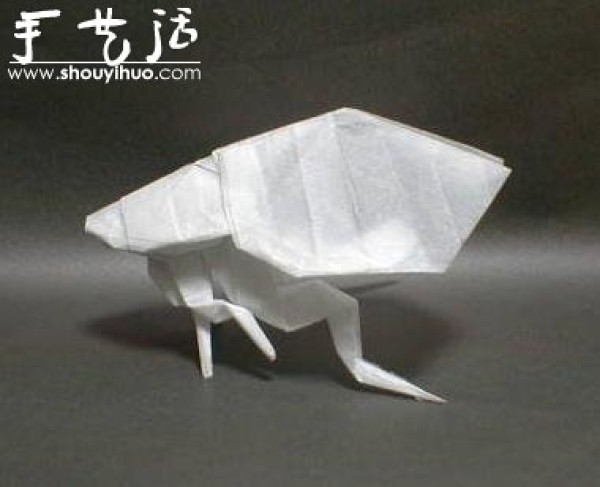 Appreciation of Insect Origami Works