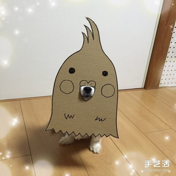 Thick cardboard + dog nose = pet transforms to see how the owner pranks the cutie