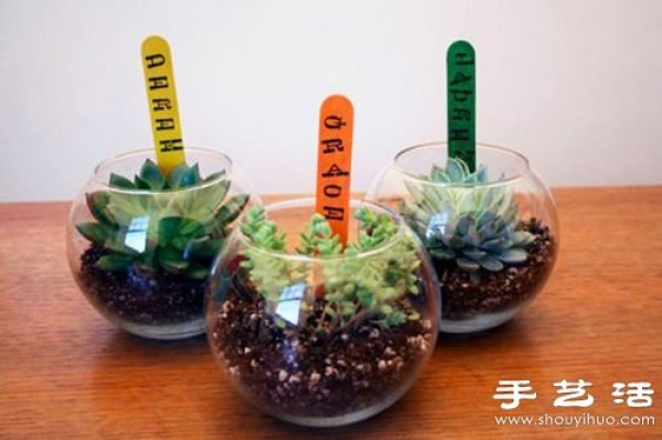 Waste utilization: 12 waste utilization tips for DIY creative potted plants