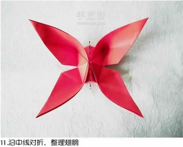 Illustration of the origami method of the beautiful swallowtail butterfly, the largest butterfly