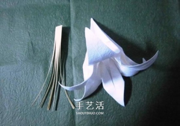 The origami process of the iron cannon lily illustrates the steps of folding the iron cannon lily by hand