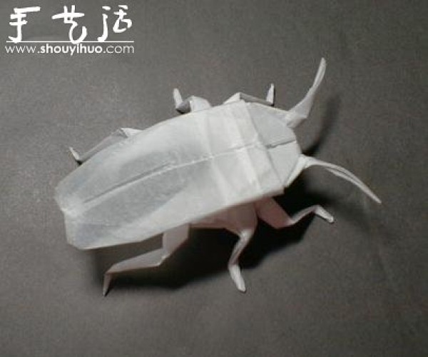 Appreciation of Insect Origami Works