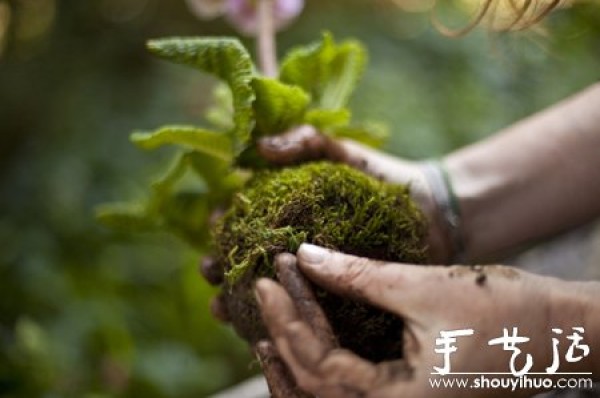 DIY your sky garden