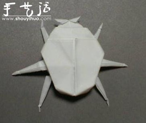 Appreciation of insect origami works