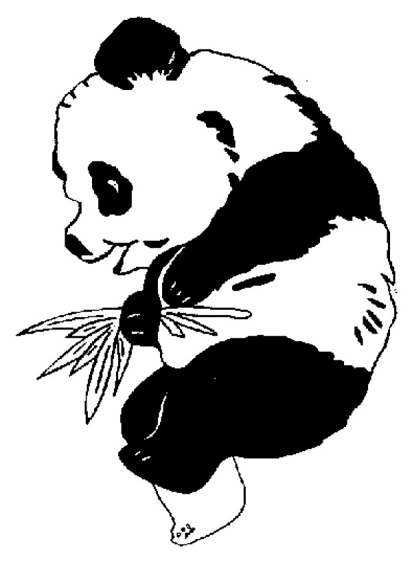 6 cute simple drawings of giant pandas