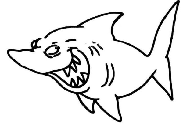 Smiling shark