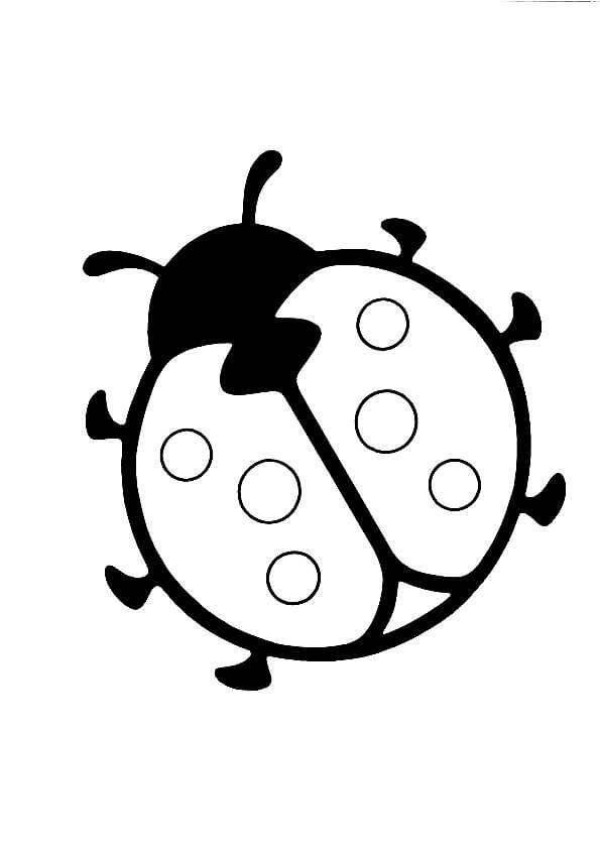 Simple ladybug drawing method