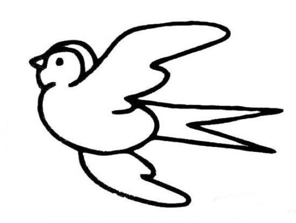 Simple drawing of swallow in flight