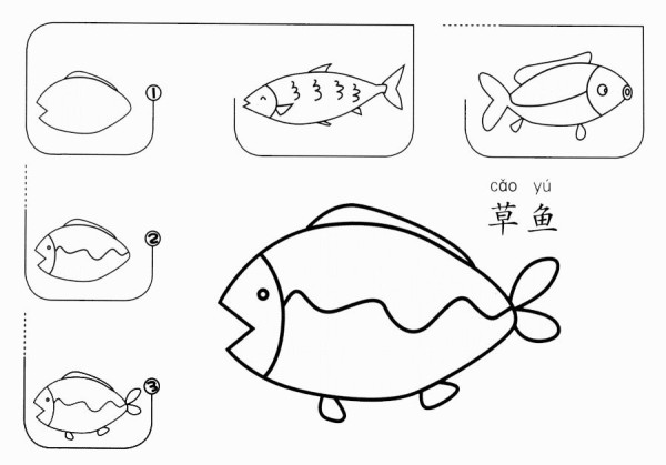 How to draw grass carp