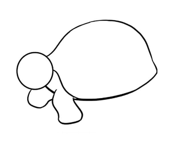 Simple steps to draw a turtle