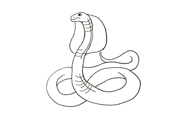 How to draw a scary cobra in 7 steps