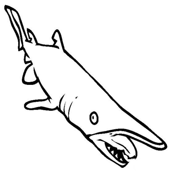 Marine life pictures Goblin shark simple drawing pictures