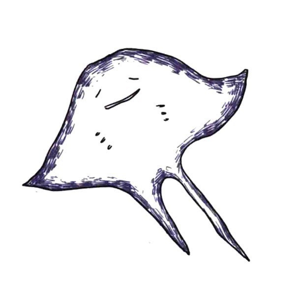 cute manta ray