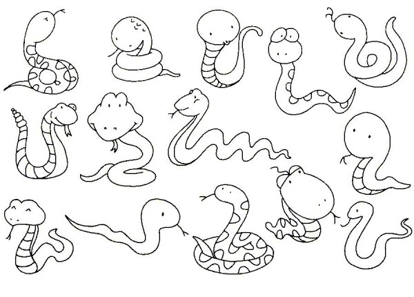 A complete collection of snake simple drawings and drawing steps