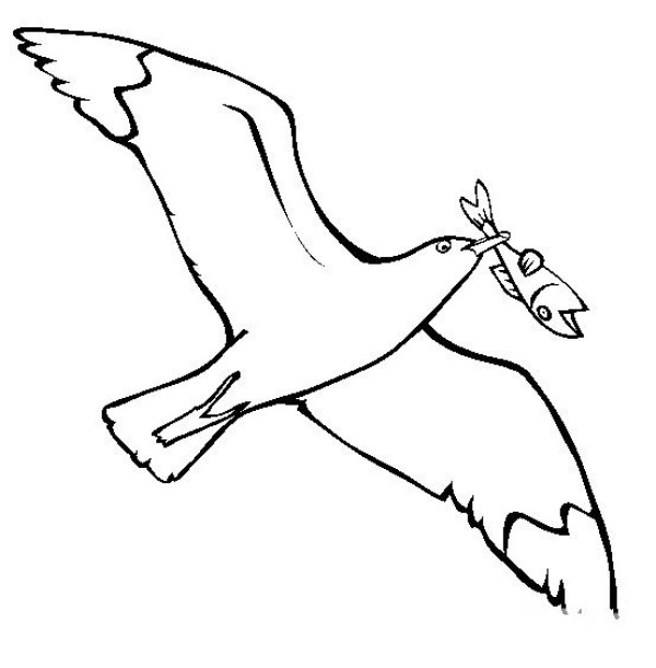 Simple drawing of bird, simple drawing of seagull