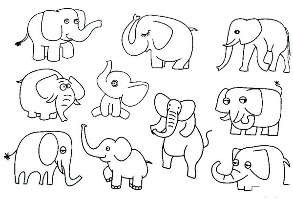 Complete collection of elephant simple strokes and drawing steps