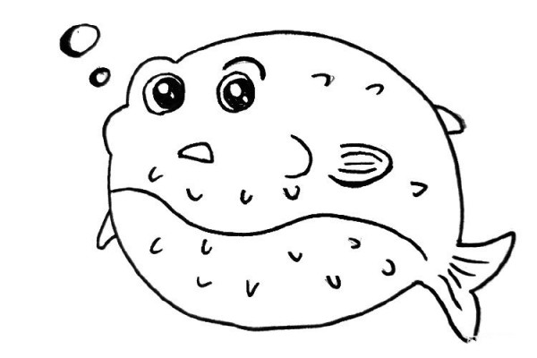 Cute pufferfish