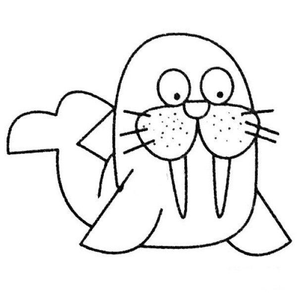 Complete picture collection of simple strokes of walrus and drawing steps