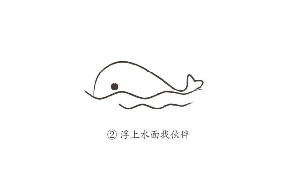 Learn to draw a whale in the sea step by step