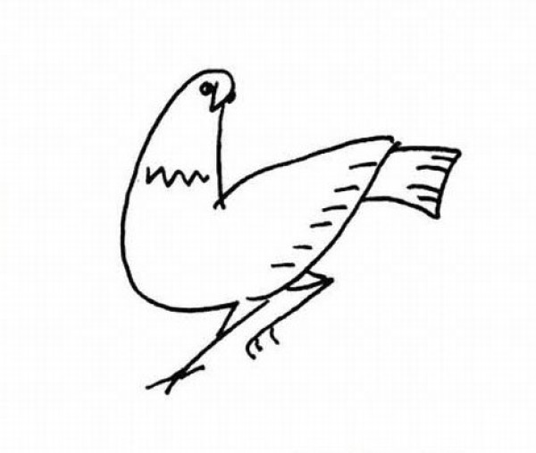 Childrens simple drawings of animals pigeon