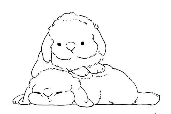 Cute fat bunny simple drawing pictures