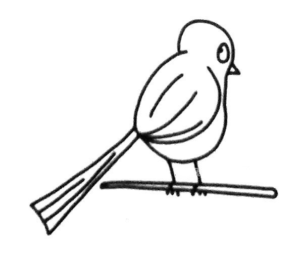 A set of beautiful magpie simple drawing pictures