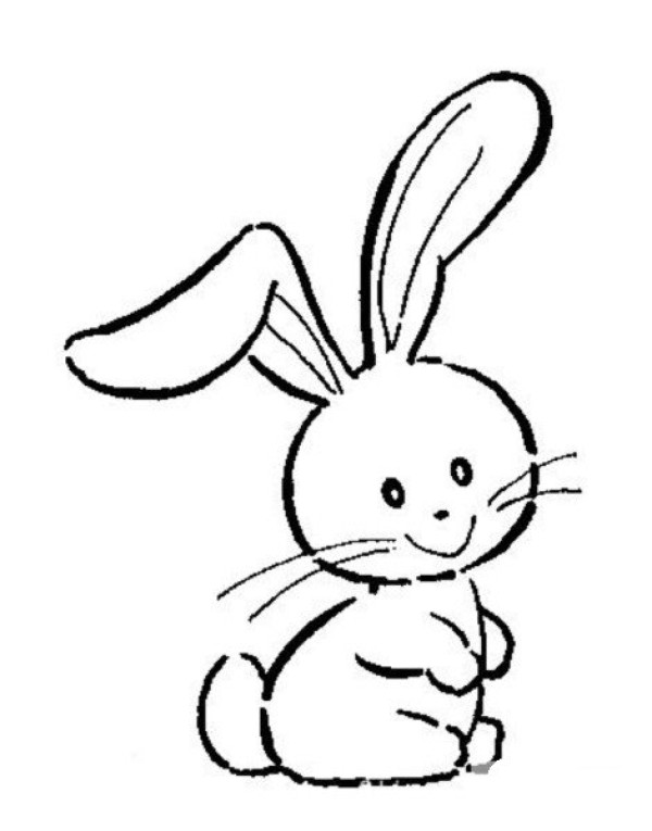 Animal simple drawing of bunny, simple drawing of bunny picture