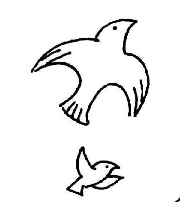 Simple drawing techniques of birds