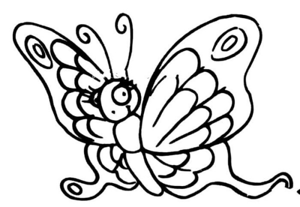 Cartoon Butterfly Simple Drawing Picture