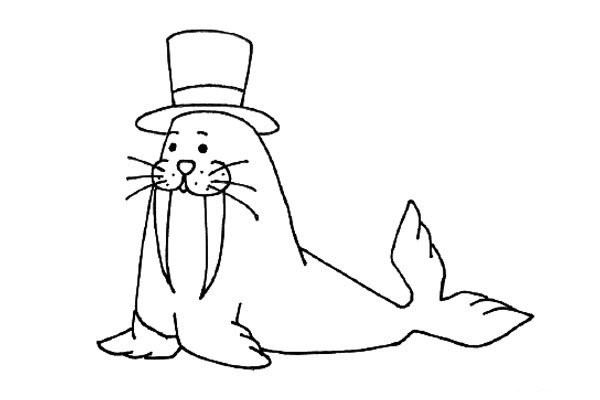 Little walrus wearing a hat