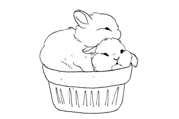 Cute fat bunny simple drawing pictures