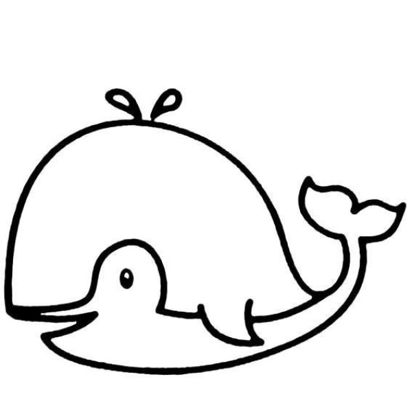 Simple drawing of marine life, simple drawing of whale