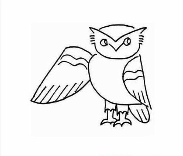 Childrens simple drawing owl