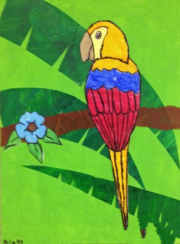 A complete collection of drawing pictures of parrots and birds on the tree