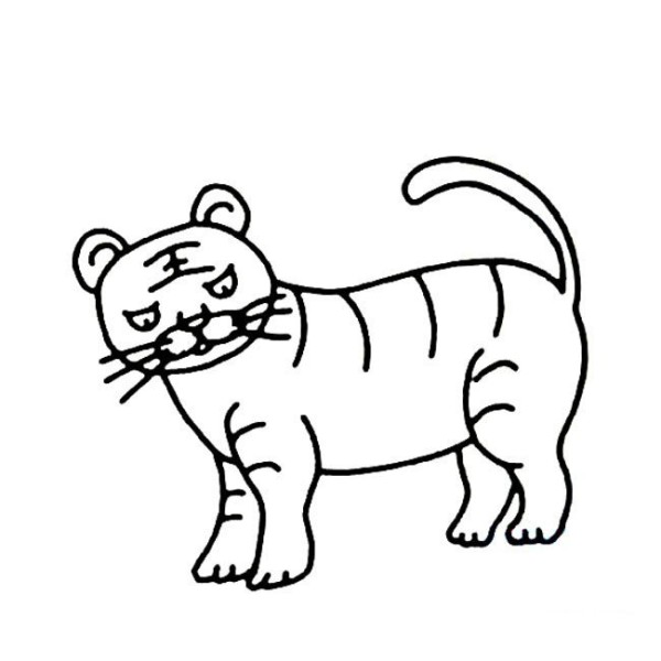 Simple drawing method of tiger