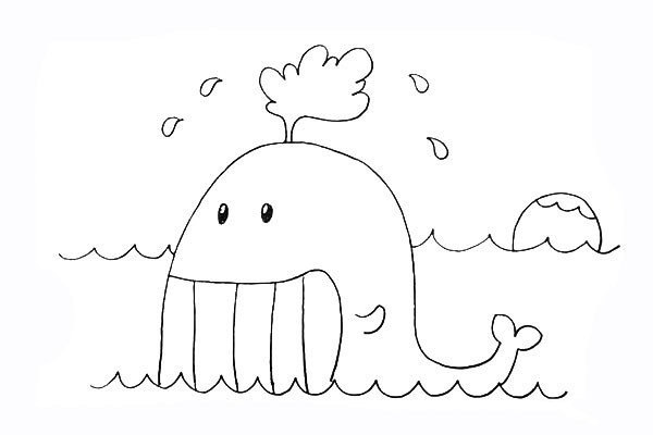 How to draw a whale