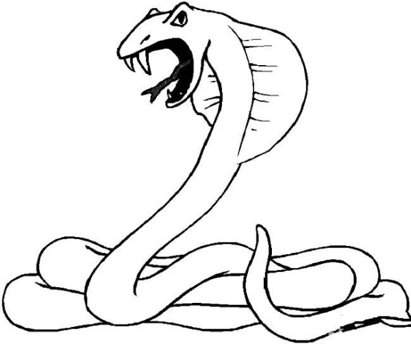 Cobra simple drawing picture