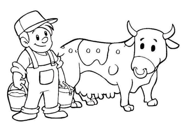 dairy cattle breeder