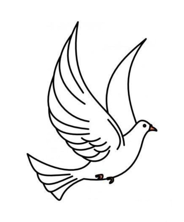 Pure white dove simple strokes