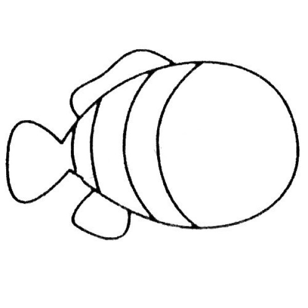 A complete collection of simple drawing pictures of clownfish and the steps of drawing