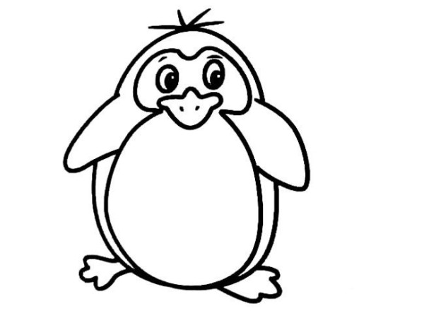 Complete collection of simple animal drawings, simple drawings of little penguins