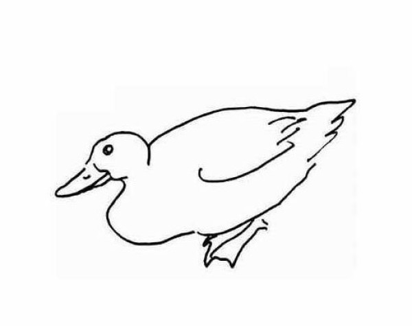 Childrens simple drawing of duck