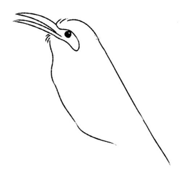 Magpie simple drawing tutorial