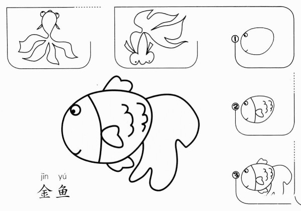 How to draw goldfish