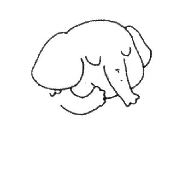 Shy Elephant