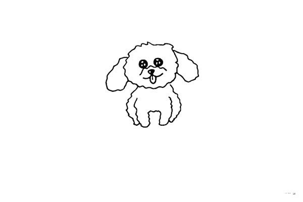 How to draw a teddy dog