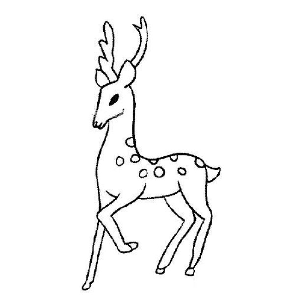 Cartoon sika deer simple drawing picture