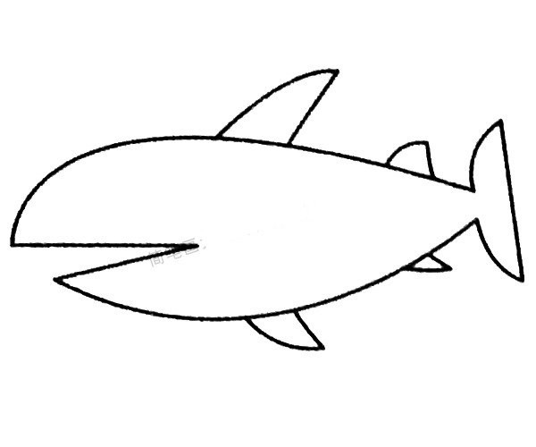 Complete collection of shark simple strokes and drawing steps