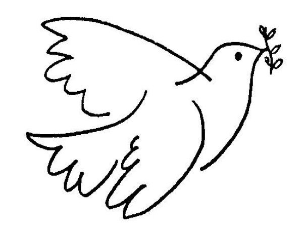 Peace dove simple drawing picture tutorial